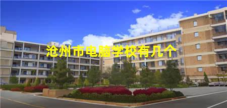 沧州市电脑学校有几个(沧州市电脑学校有几个班)，保定中专学校