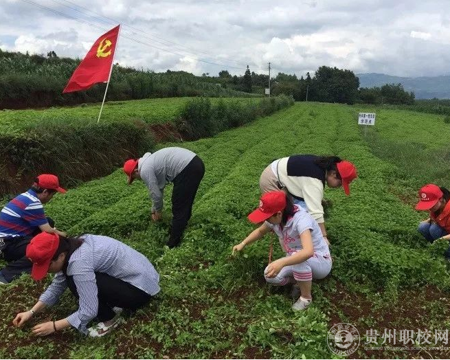 中草药栽培专业