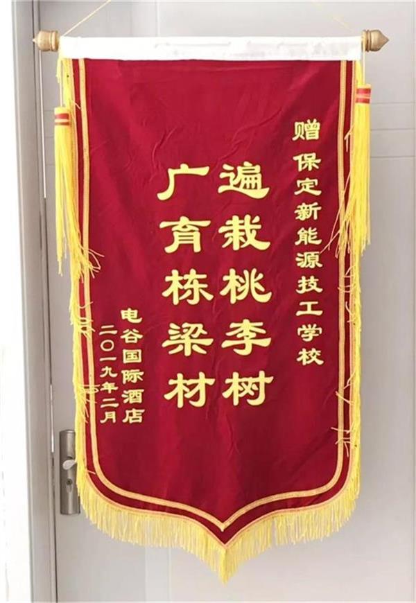 保定新能源技工学校(图19)